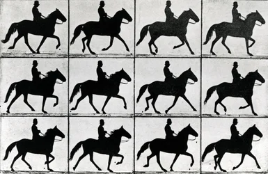 Ein Schritt in elf Phasen, 1881, Illustration aus 